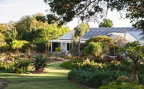 Mo & Rose'S Nature Retreat